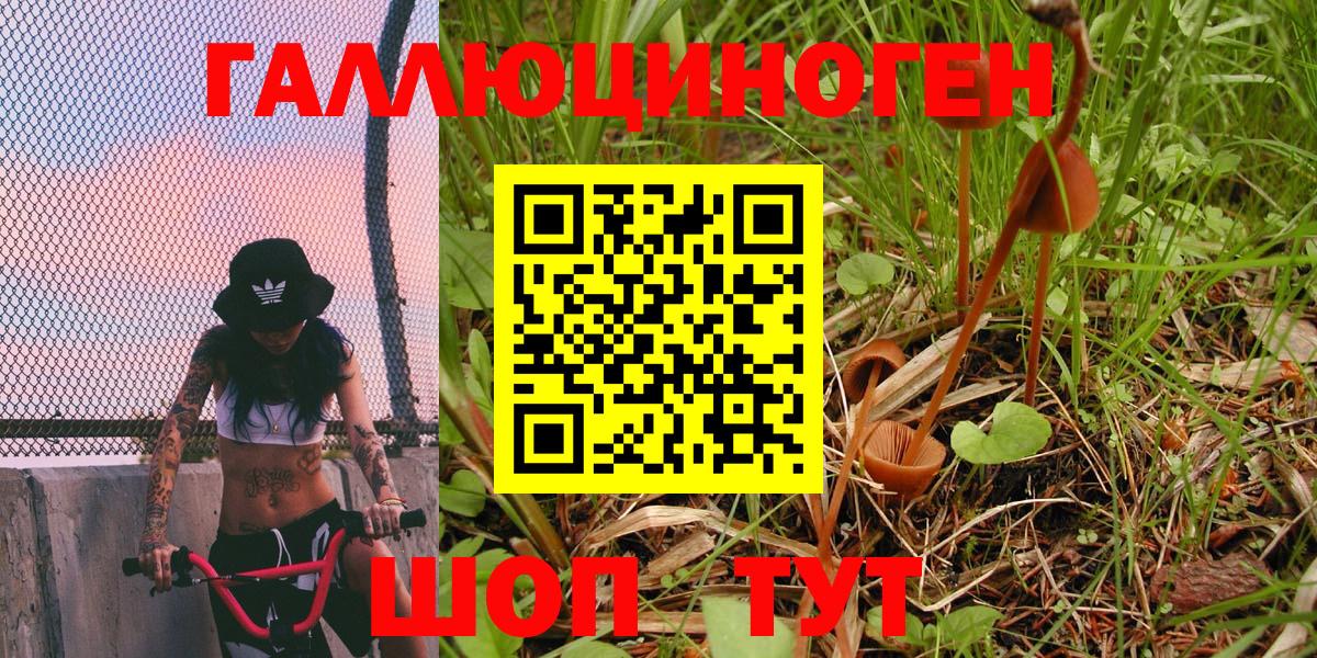 Псилоцибиновые грибы мицелий Гурьевск